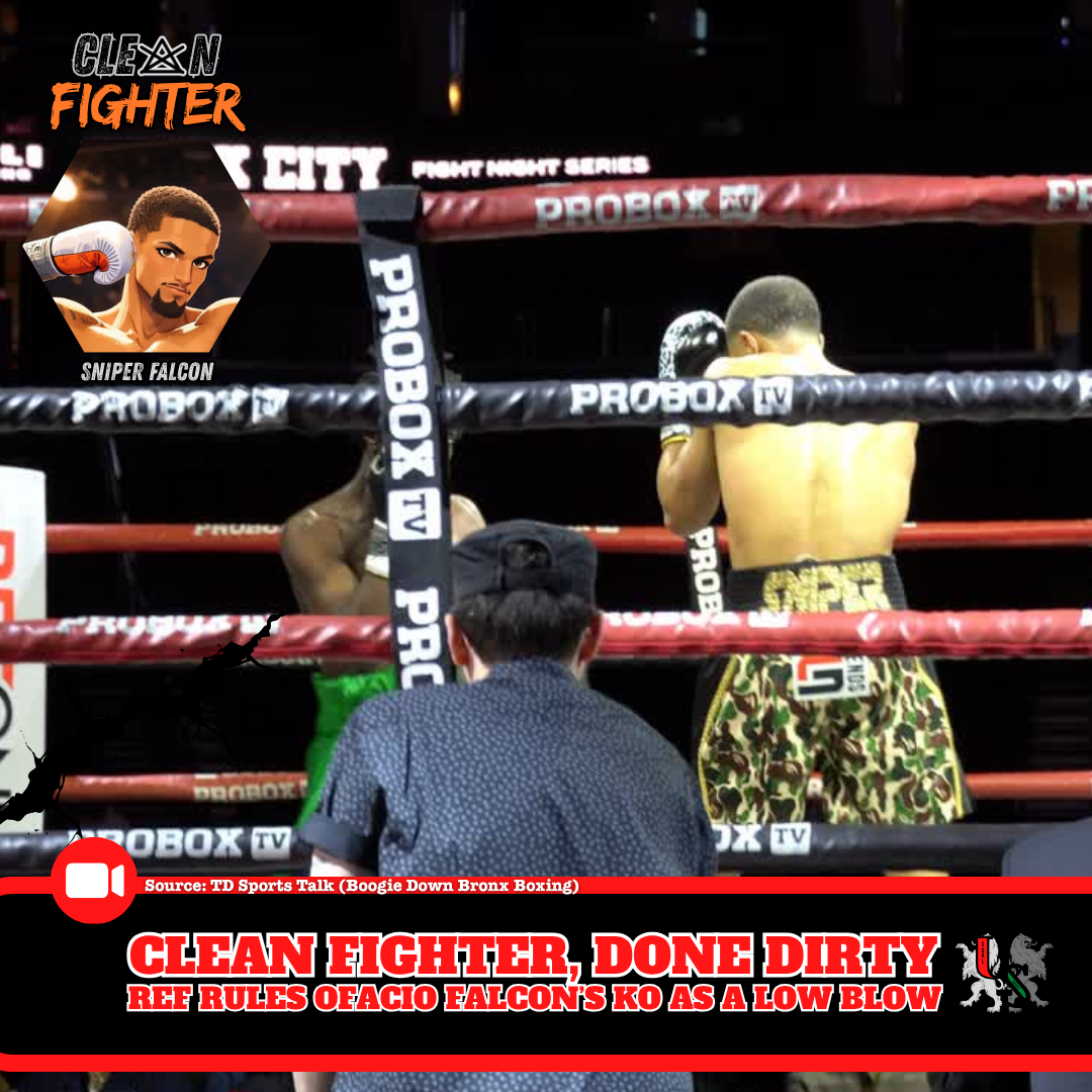 Sniper Falcon Fight Alert